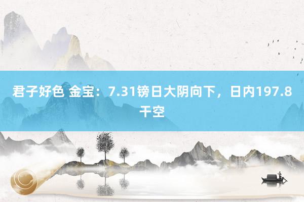 君子好色 金宝：7.31镑日大阴向下，日内197.8干空