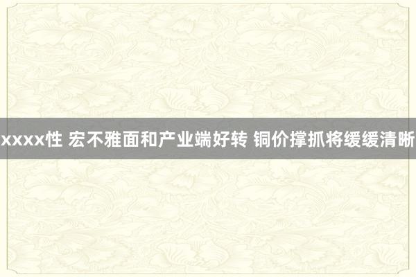 xxxx性 宏不雅面和产业端好转 铜价撑抓将缓缓清晰