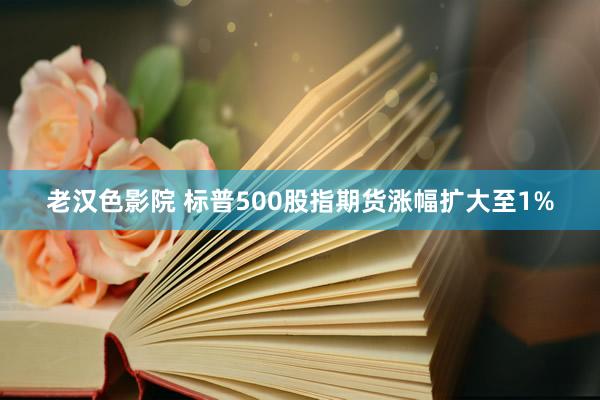 老汉色影院 标普500股指期货涨幅扩大至1%