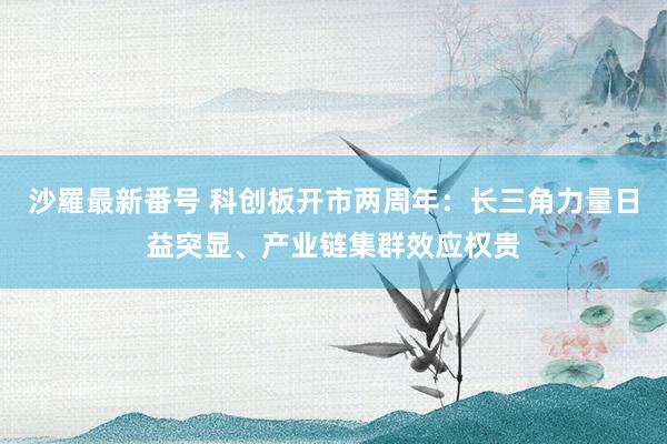 沙羅最新番号 科创板开市两周年：长三角力量日益突显、产业链集群效应权贵