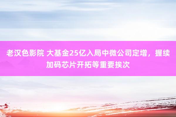 老汉色影院 大基金25亿入局中微公司定增，握续加码芯片开拓等重要挨次