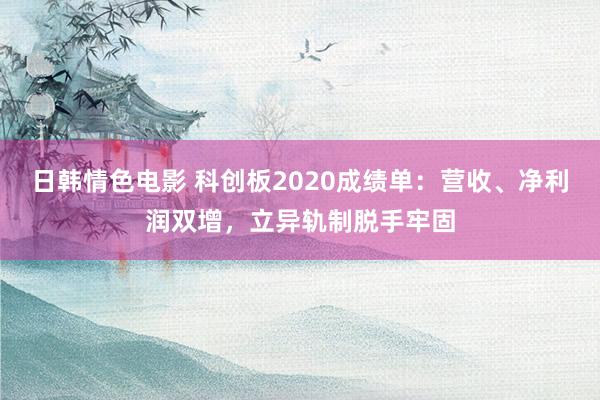 日韩情色电影 科创板2020成绩单：营收、净利润双增，立异轨制脱手牢固