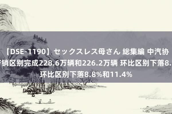 【DSE-1190】セックスレス母さん 総集編 中汽协：7月汽车产销区别完成228.6万辆和226.2万辆 环比区别下落8.8%和11.4%