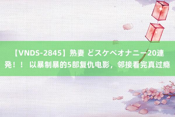 【VNDS-2845】熟妻 どスケベオナニー20連発！！ 以暴制暴的5部复仇电影，邻接看完真过瘾