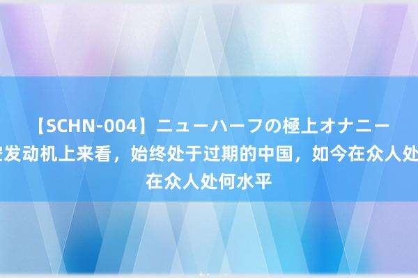 【SCHN-004】ニューハーフの極上オナニー 从航空发动机上来看，始终处于过期的中国，如今在众人处何水平