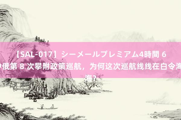 【SAL-017】シーメールプレミアム4時間 6 中俄第 8 次攀附政策巡航，为何这次巡航线线在白令海？