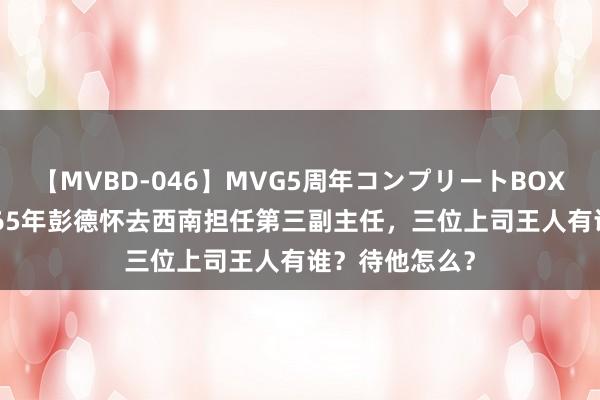 【MVBD-046】MVG5周年コンプリートBOX ゴールド 1965年彭德怀去西南担任第三副主任，三位上司王人有谁？待他怎么？