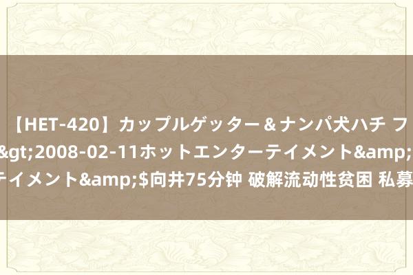 【HET-420】カップルゲッター＆ナンパ犬ハチ ファイト一発</a>2008-02-11ホットエンターテイメント&$向井75分钟 破解流动性贫困 私募为何宠爱S基金