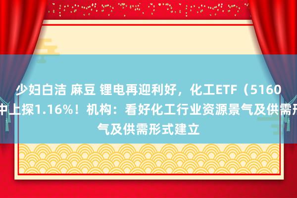 少妇白洁 麻豆 锂电再迎利好，化工ETF（516020）盘中上探1.16%！机构：看好化工行业资源景气及供需形式建立