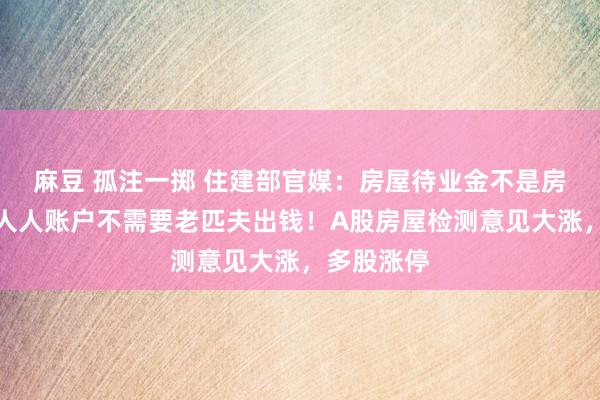 麻豆 孤注一掷 住建部官媒：房屋待业金不是房地产税，人人账户不需要老匹夫出钱！A股房屋检测意见大涨，多股涨停