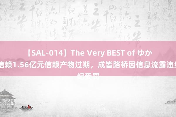 【SAL-014】The Very BEST of ゆか 中铁信赖1.56亿元信赖产物过期，成皆路桥因信息流露违纪受罚