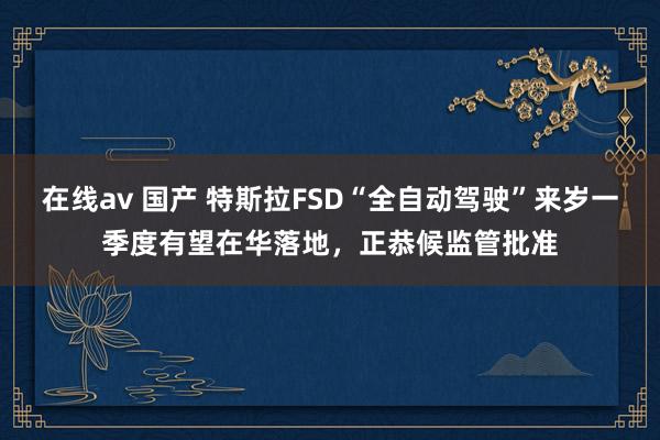 在线av 国产 特斯拉FSD“全自动驾驶”来岁一季度有望在华落地，正恭候监管批准