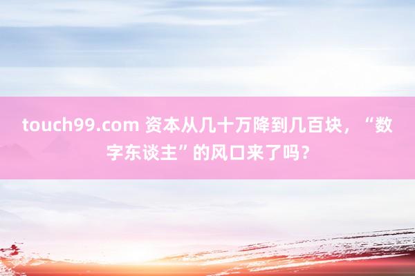 touch99.com 资本从几十万降到几百块，“数字东谈主”的风口来了吗？