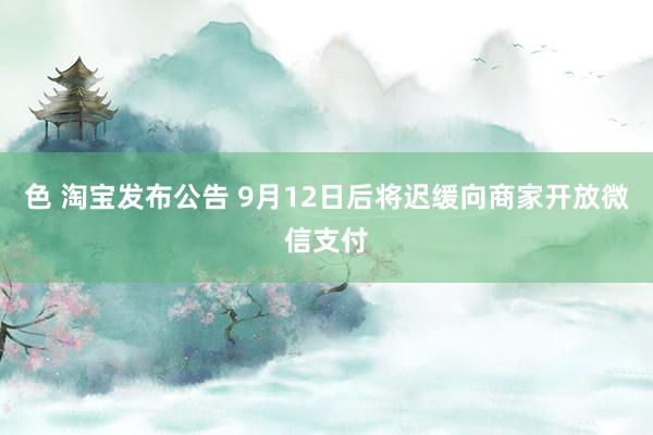 色 淘宝发布公告 9月12日后将迟缓向商家开放微信支付