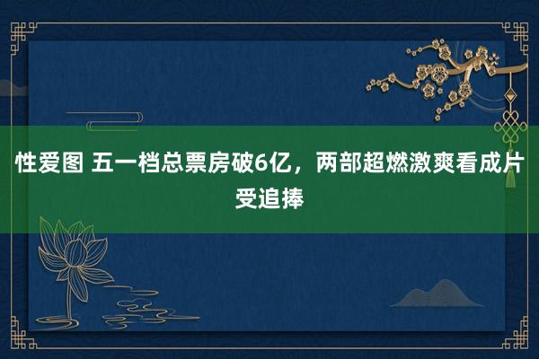 性爱图 五一档总票房破6亿，两部超燃激爽看成片受追捧