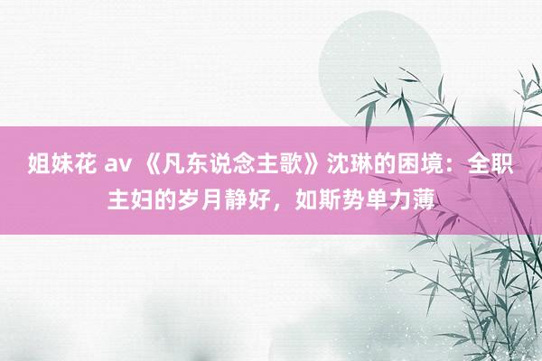 姐妹花 av 《凡东说念主歌》沈琳的困境：全职主妇的岁月静好，如斯势单力薄